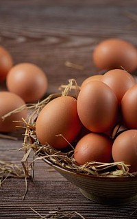 Organic eggs